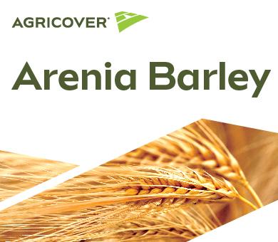 Arenia Barley